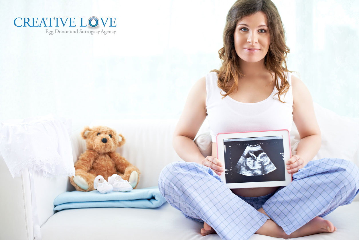 7 Key Personality Traits for an Egg Donor and Surrogacy Journey