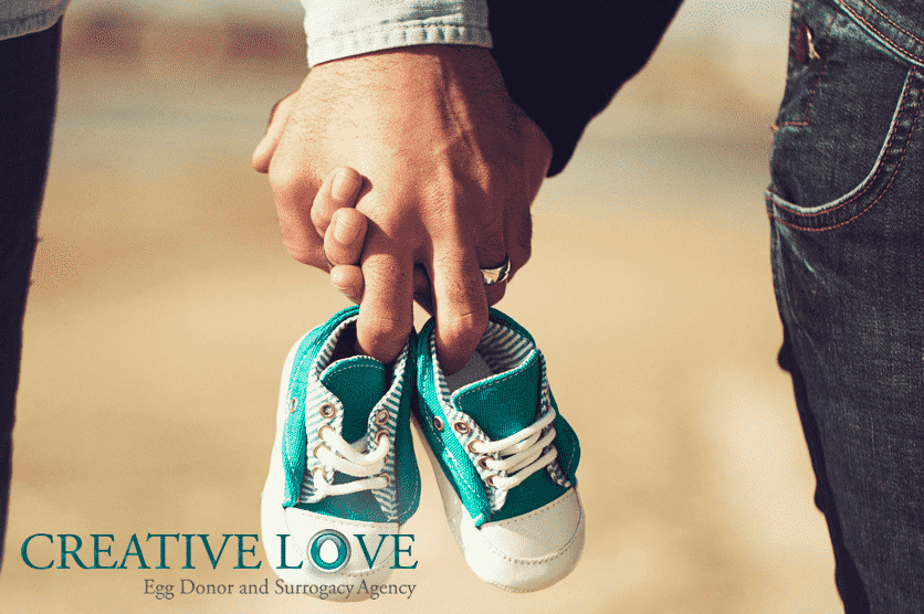 Discovering a Surrogate: Egg Donor and Surrogacy Considerations