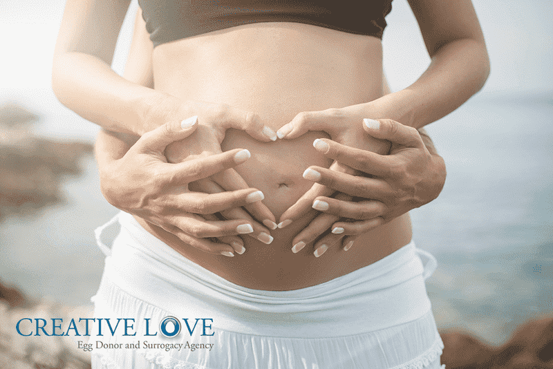 Selecting a Gestational Carrier in Florida: Egg Donor and Surrogacy Tips