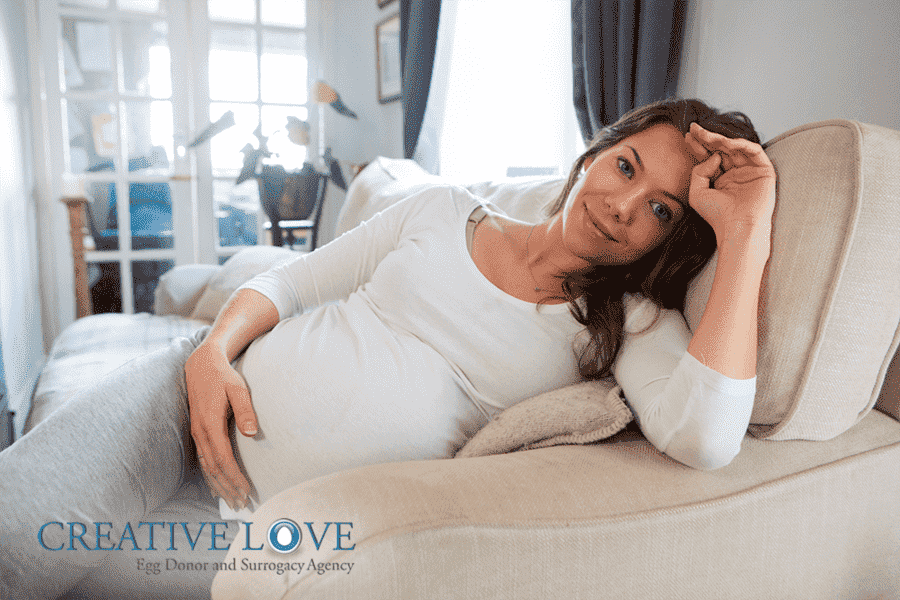 Exploring Surrogacy in Florida: Insights for Egg Donors
