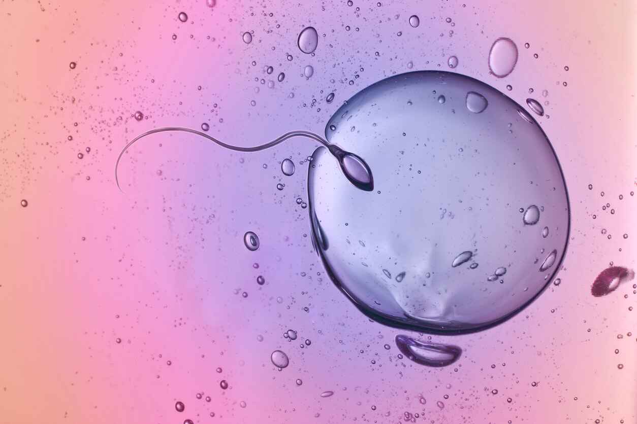 sperm donors - creative Love eggs donor and surrogacy agency