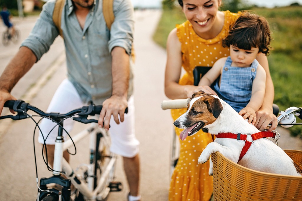 International Programs