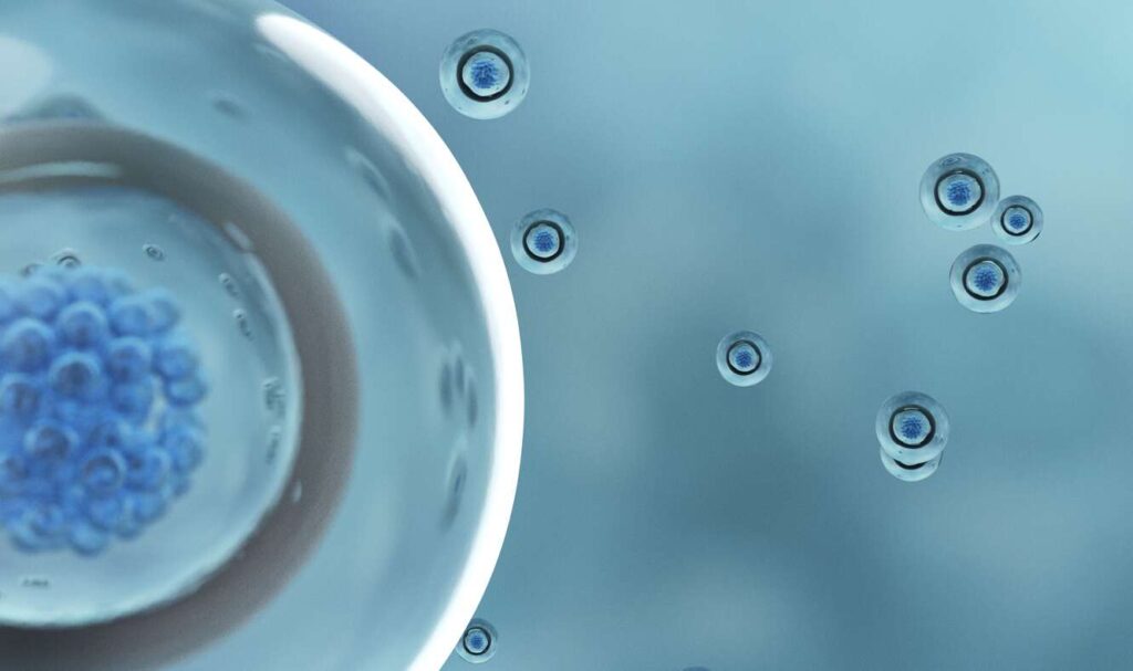 Understanding the Embryo Transfer in IVF - Surrogacy and Egg Donor Agency
