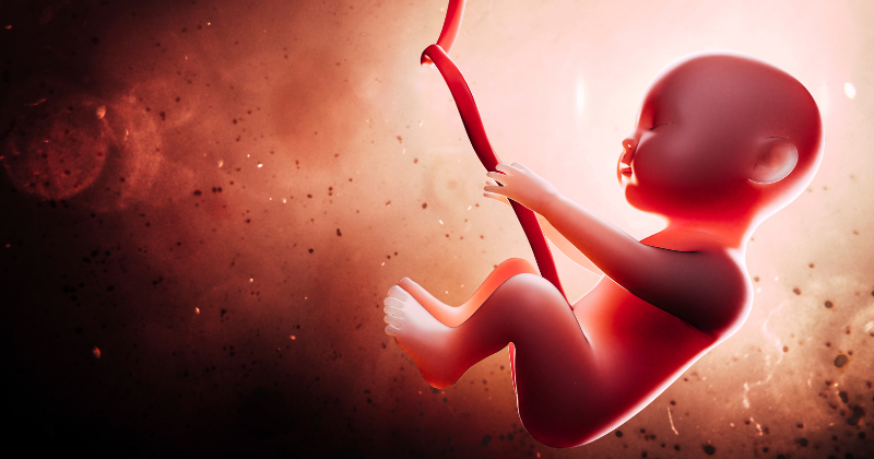 Understanding the 'Hostile Womb'