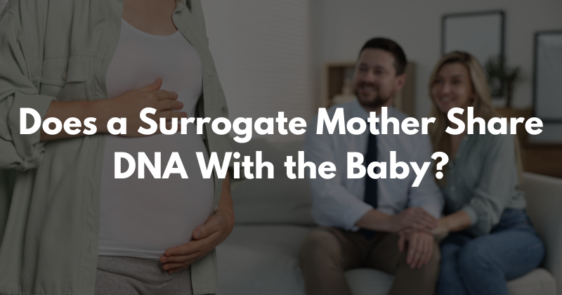 Does a Surrogate Mother Share DNA With the Baby?