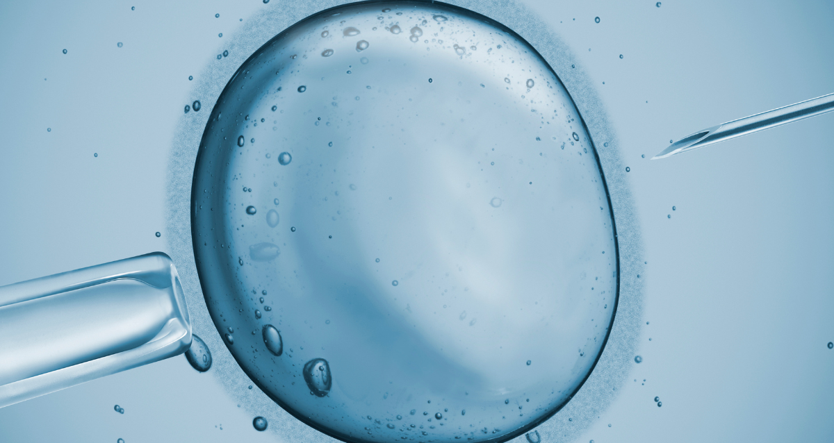 IVF for surrogacy