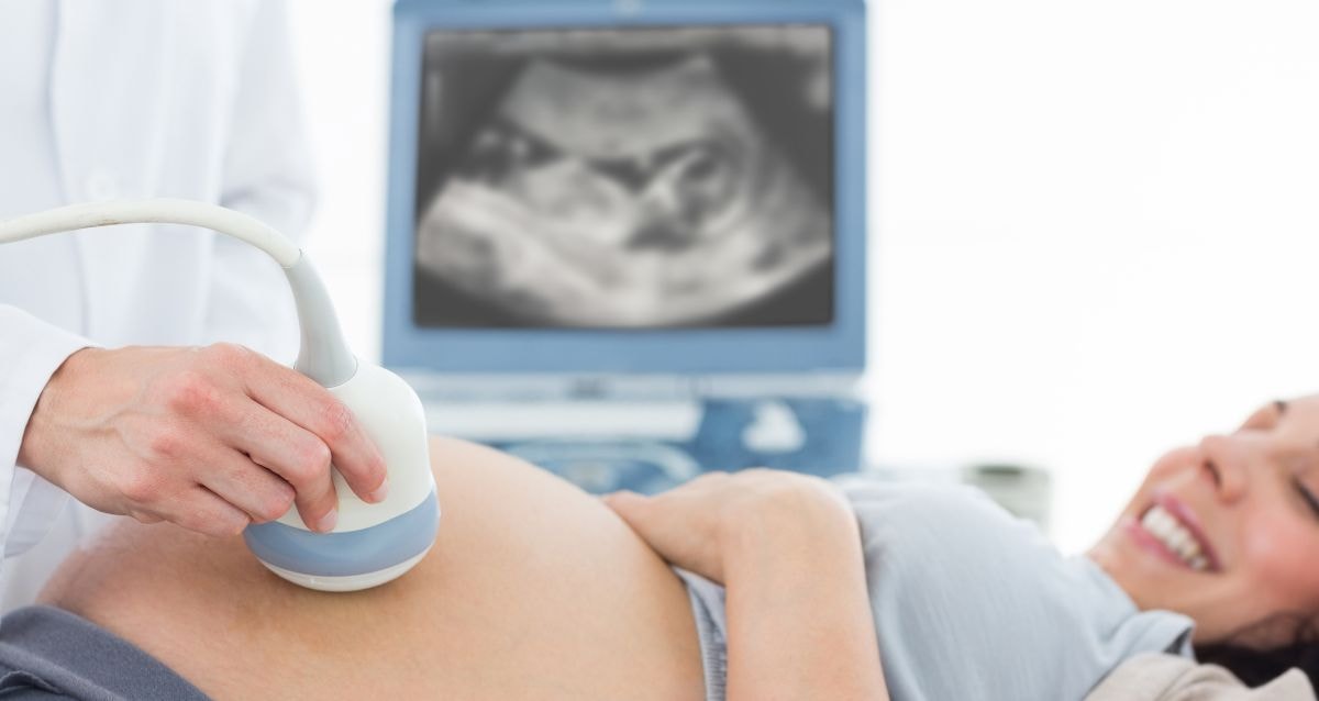 Surrogates physically carry the intended parents baby